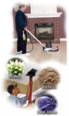 mold cleaning Auckland
