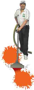 carpet-cleaning-pic
