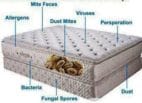 mattress cleaning Auckland