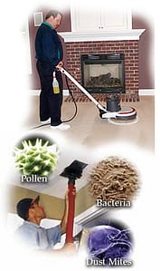 mold cleaning Auckland