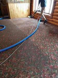 dirty carpet cleaning Auckland