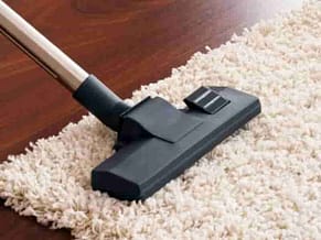 vacuum carpet cleanings Auckland