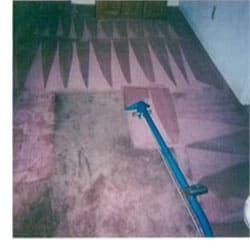 Carpet care guidelines