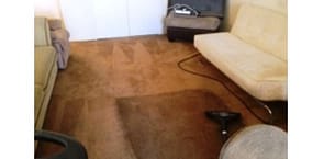 carpet cleaner tips
