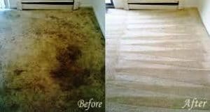 dirty carpet cleaners Auckland