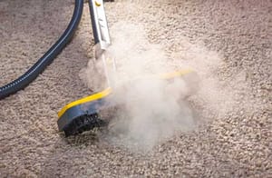 Auckland carpet cleaners