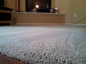 Auckland carpet steam cleaner