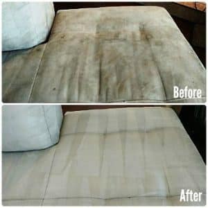 upholstery cleaning Auckland